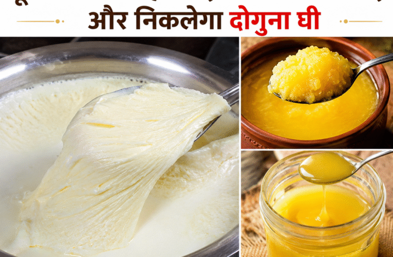 दूध पर कैसे जमाएं मोटी मलाई, ताकि निकले ज्यादा घी? नोट करें 5 सिंपल किचन ट्रिक्स