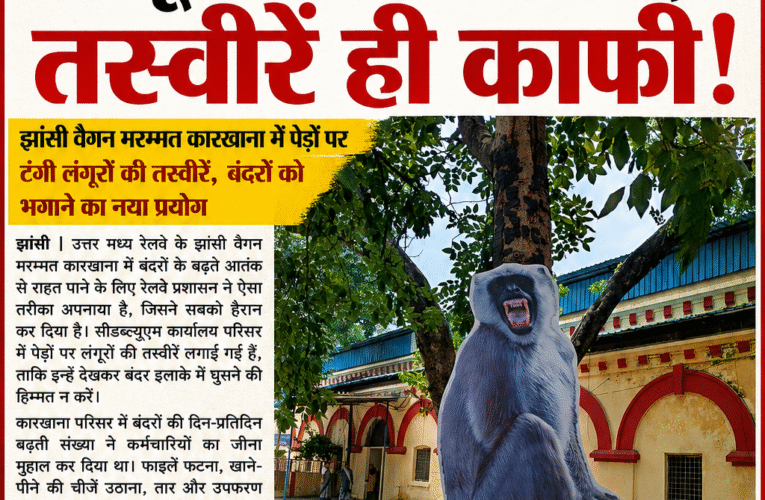 बंदरों से रेलवे की जंग ! असली लंगूर नहीं मिले तो तस्वीरें ही टांग दीं झांसी वैगन मरम्मत कारखाना में ‘लंगूर फॉर्मूला’—सीडब्ल्यूएम कार्यालय के पेड़ों पर लटकी तस्वीरें, बंदरों के आतंक से निजात का अनोखा इंतजाम
