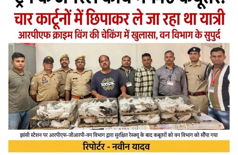 ट्रेन के जनरल कोच में 140 कबूतर! चार कार्टूनों में छिपाकर ले जा रहा था यात्री